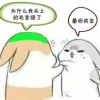 佘川兔兔