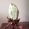 赵皮特