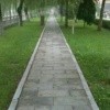 刘杰
