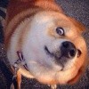 吕磊