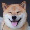 柴大