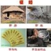 杨润志