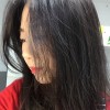 鹿儿