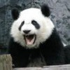 熊家自乐