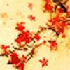 青菜8923183
