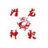 潜龙神彩