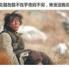 迷茫的猪